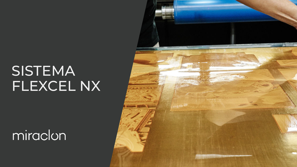 sistema flexcel nx